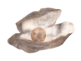 Pearl in a shell. Watercolor illustration.