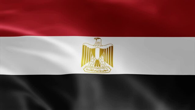 Egypt flag is waving 3D animation. Egypt flag waving in the wind. National flag of Egypt. Flag seamless loop animation 4k