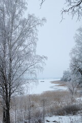 the embankment in winter, everything is covered with white snow