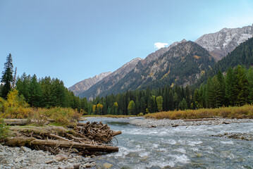 Kumrat Valley, The Panjkora River, Which Originates in the Hindu Kush Mountains, Runs Through Kumrat Valley.
