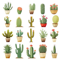 Fotobehang Cactus in pot The Cactus set on white background. Clipart illustrations.