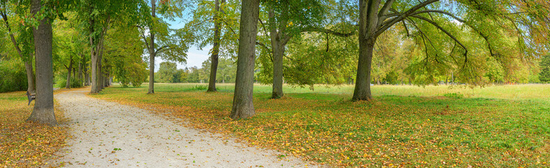way path forest park city park worms germany autumn backplate