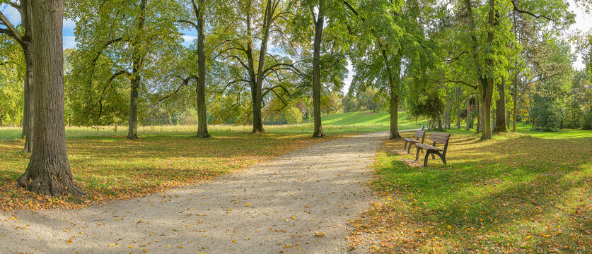 way path forest park city park worms germany autumn backplate
