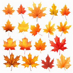 BEAUTIFUL AND ATTRACTIVE AUTOMN LEAVES ON TRANSPARENT WHITE BACKGROUND LANDSCAPE