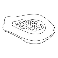 Papaya fruit in doodle style, linear art. Design element isolated on white background.