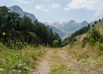 Obraz premium Mountain summer landscape, alpine meadows, Caucasus mountains