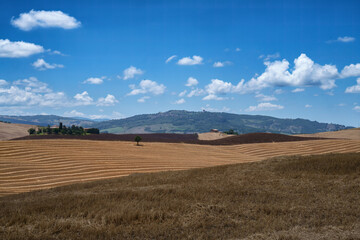 Obraz premium Rural landscape in Tuscany near Pienza