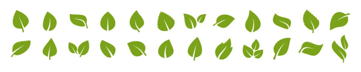 Green leaf icons. Green color. Leafs green color icon logo. Leaves on white background. Ecology. Vector illustration.