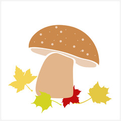 Mushrooms. Pattern. Image on white and colored background. Vector.