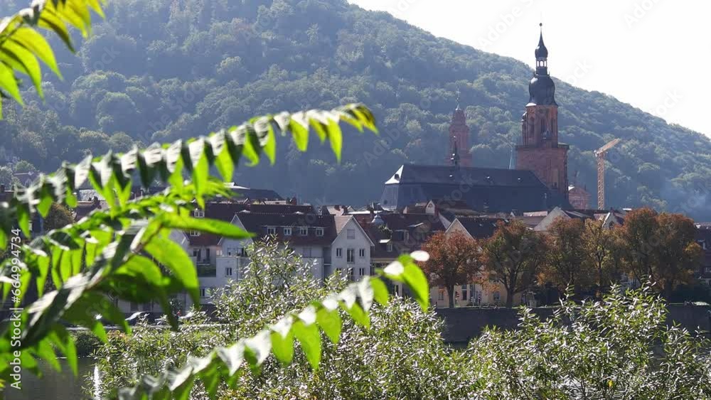 Poster the historic german city of heidelberg video