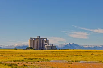 Tuinposter Grain Silos in yellow canola fields near Gouda © geoffsp