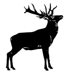 deer silhouette vector