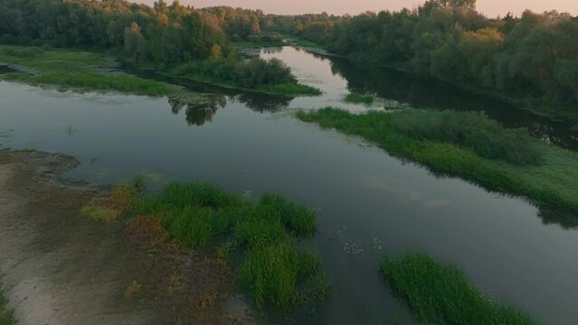 River forest sunset dawn sun jungle nature lake water tree
