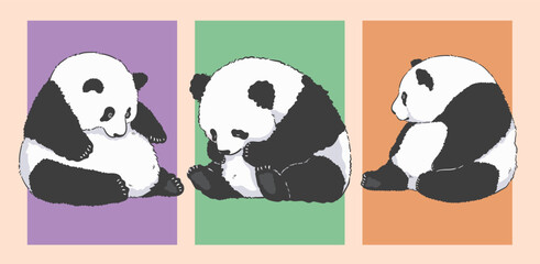 Chubby Sitting Panda Illustrations , Cute Cartoon Set