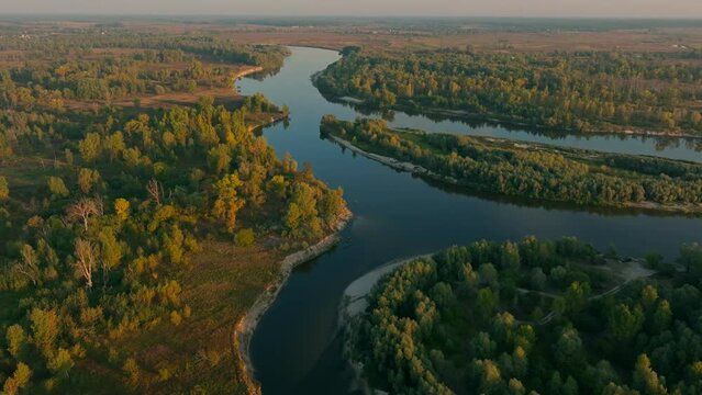 River forest sunset dawn sun jungle nature lake water tree