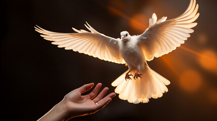 Peace no War Dove Flying World Peace Symbol Template Background Presentation Slides Powerpoint Design Wallpaper Love Faith Hope Praying for Better Future Safe Peaceful Hopeful Planet Concept Photo  - obrazy, fototapety, plakaty
