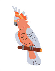 Exotic cockatoo sitting on perch. Cute tropical parrot. Funny amusing jungle bird with crest. Adorable feathered animal.