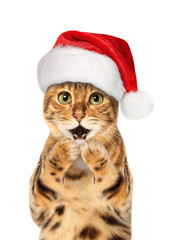 Bengal cat wearing Santa hat, Christmas concept