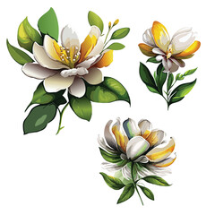  Beautiful flowers clipart vector illustration