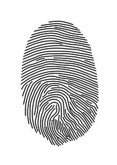 fingerprint, vector file