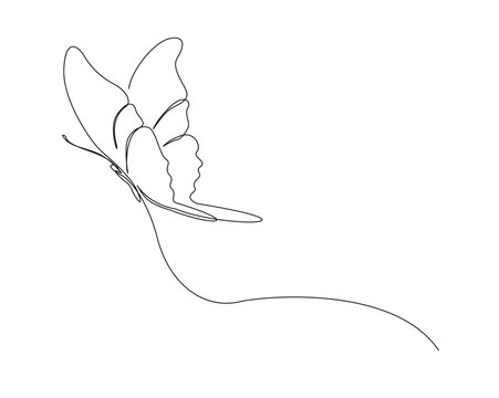 Continuous one line drawing of beautiful butterfly. Butterfly outline vector illustration with active stroke.