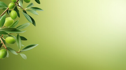 Fototapeta na wymiar green olives on green background. copy space