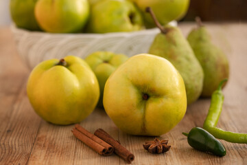 Quitten - vom Baum -zum Verarbeiten bereit