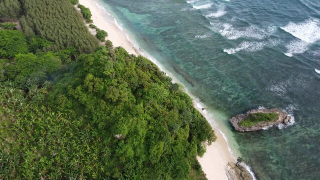 The Watu Leter coastline taken diagonally shows some trees and beach sand