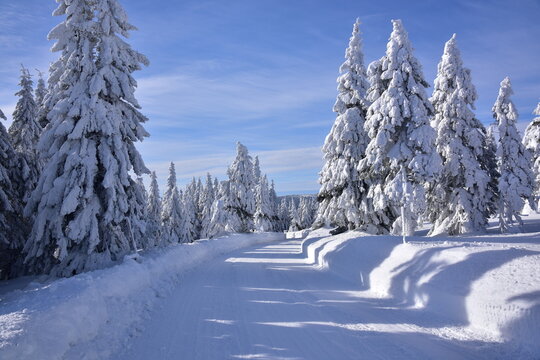 Krkono&scaron;sk&aacute; zima, sn&iacute;h, mr&aacute;z, slun&iacute;&scaron;ko