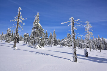 Krkono&scaron;sk&aacute; zima, sn&iacute;h, mr&aacute;z, slun&iacute;&scaron;ko