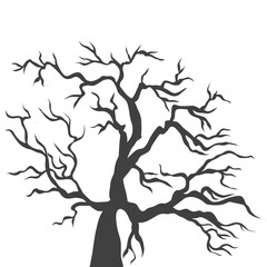 silhouette of a tree