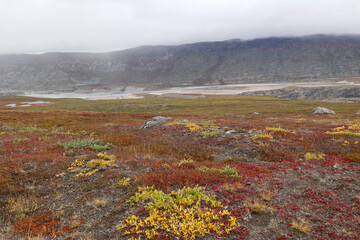 Tundra landscape near the Greenland town of Kangerlussuaq in Sisimiut District, Qeqqata  - obrazy, fototapety, plakaty