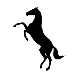 Silhouette of a horse standing on hind legs. Vector illustration on a white background for create a stencil