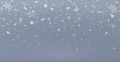Christmas background. Powder PNG. Magic bokeh shines with white dust. Small realistic glare on a transparent Png background. Design element for cards, invitations, backgrounds, screensavers.	