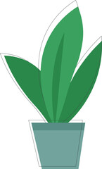 a pot with a plant flower with large leaves. Flat minimalistic color illustration. Floating outline outline.