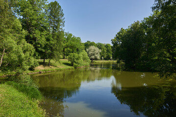 lake in the park