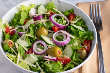 chopped  salad  top with onions and olives