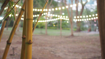 Photograph in a park with yellow bamboo foreground and bokeh of holiday lights in the background.