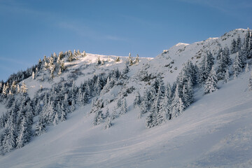 Obraz premium winter mountain landscape with trees covered in snow 