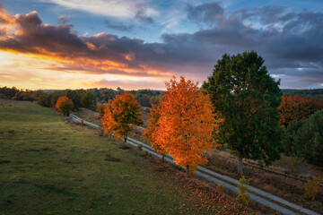 Fototapeta na wymiar Beautiful landscape with autumn trees at sunset. Poland