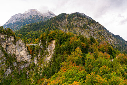 Berg S&auml;uling im Herbst bei Schloss Schwanstein in F&uuml;ssen mit Marienbr&uuml;cke