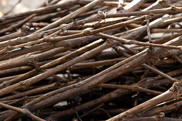 a pile of thin dry branches ready for the campfire, fire sticks, firewood, close up view
