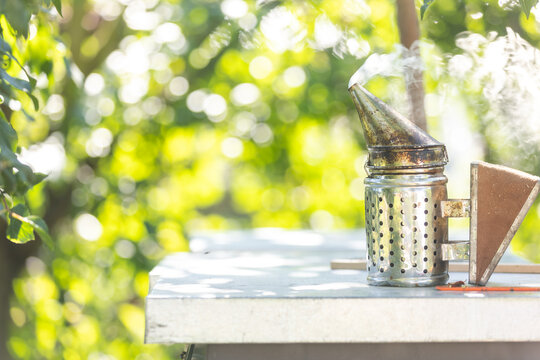 A tools of the beekeeper, smoking a smoker for bees, beekeeping concept