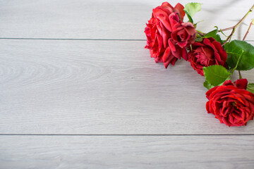 Floral background of pink, red and other roses