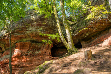 Altschlossfelsen in Eppenbrunn