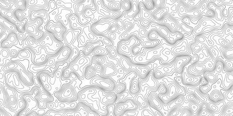 Abstract lines on the white background. Geographic map or topographic landscape. Mountain terrain or path. Vector illustration.
