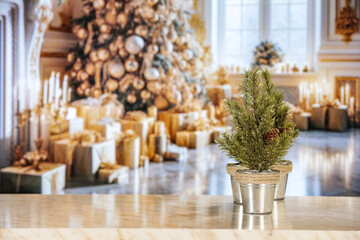 Winter window background and christmas tree. 