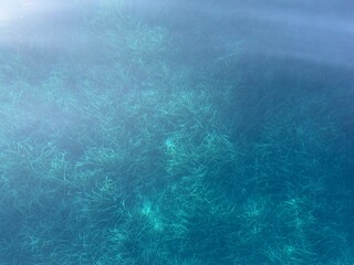 Sea surface on the Adriatic Sea