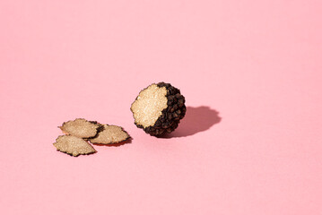 Black mushrooms truffle on the pink backround, macro. Season of black truffle. Autumn gourmet...