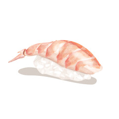 Sushi Sashimi- digital art realistic drawing